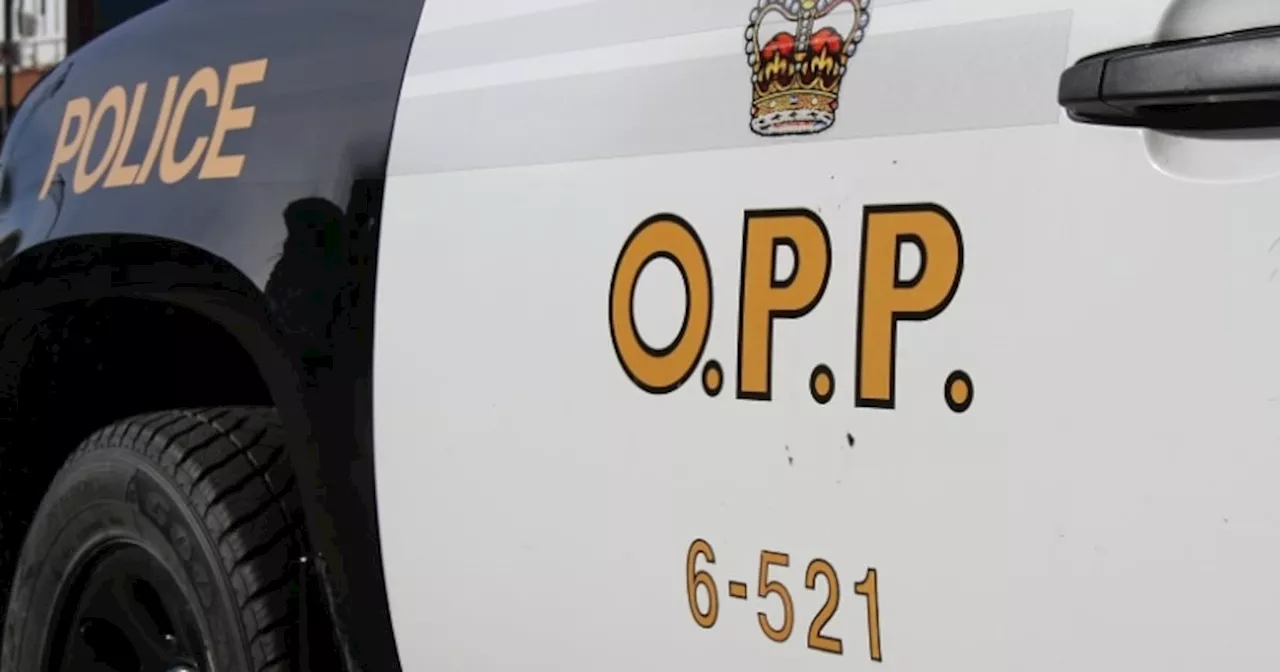 Four Charged After Man Found Bound in Plastic Box in Orillia