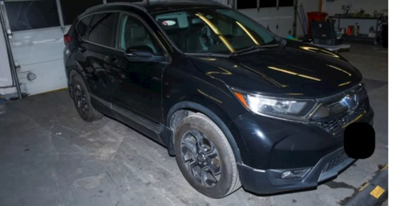 Mississauga Hit-and-Run Suspect's SUV Found Repaired