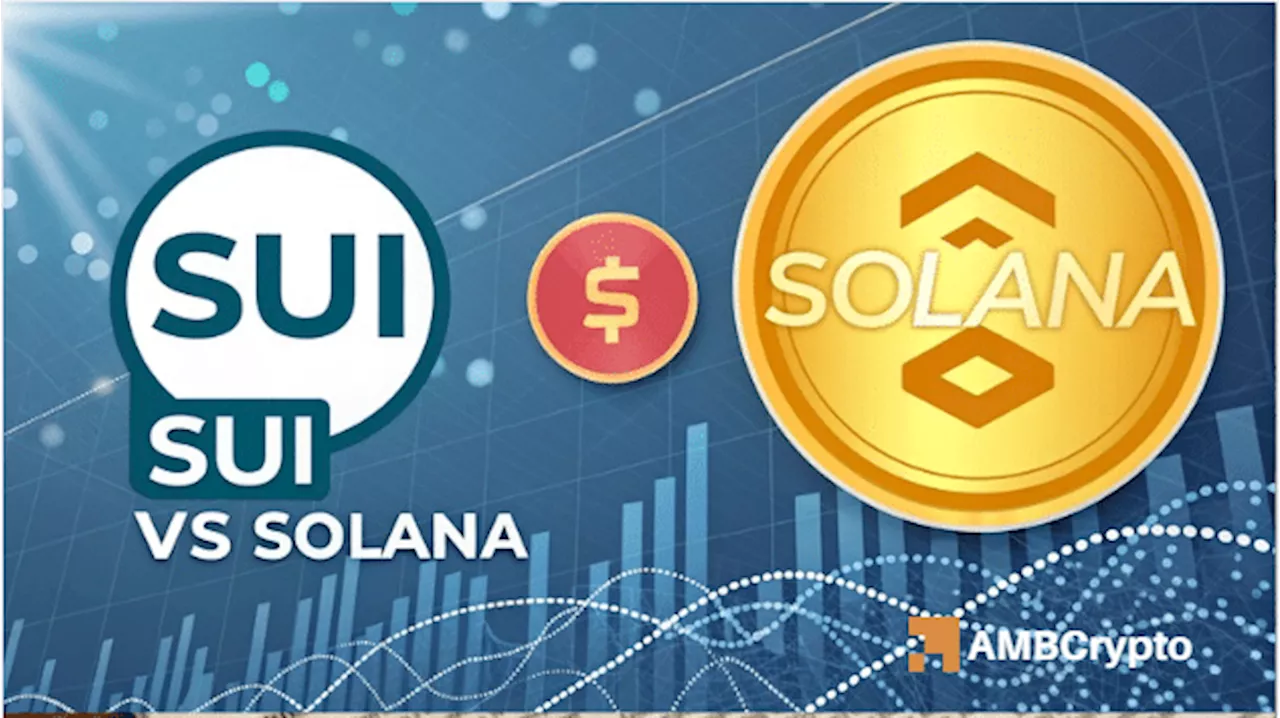 Sui Blockchain: Can It Follow Solana's Explosive Growth?