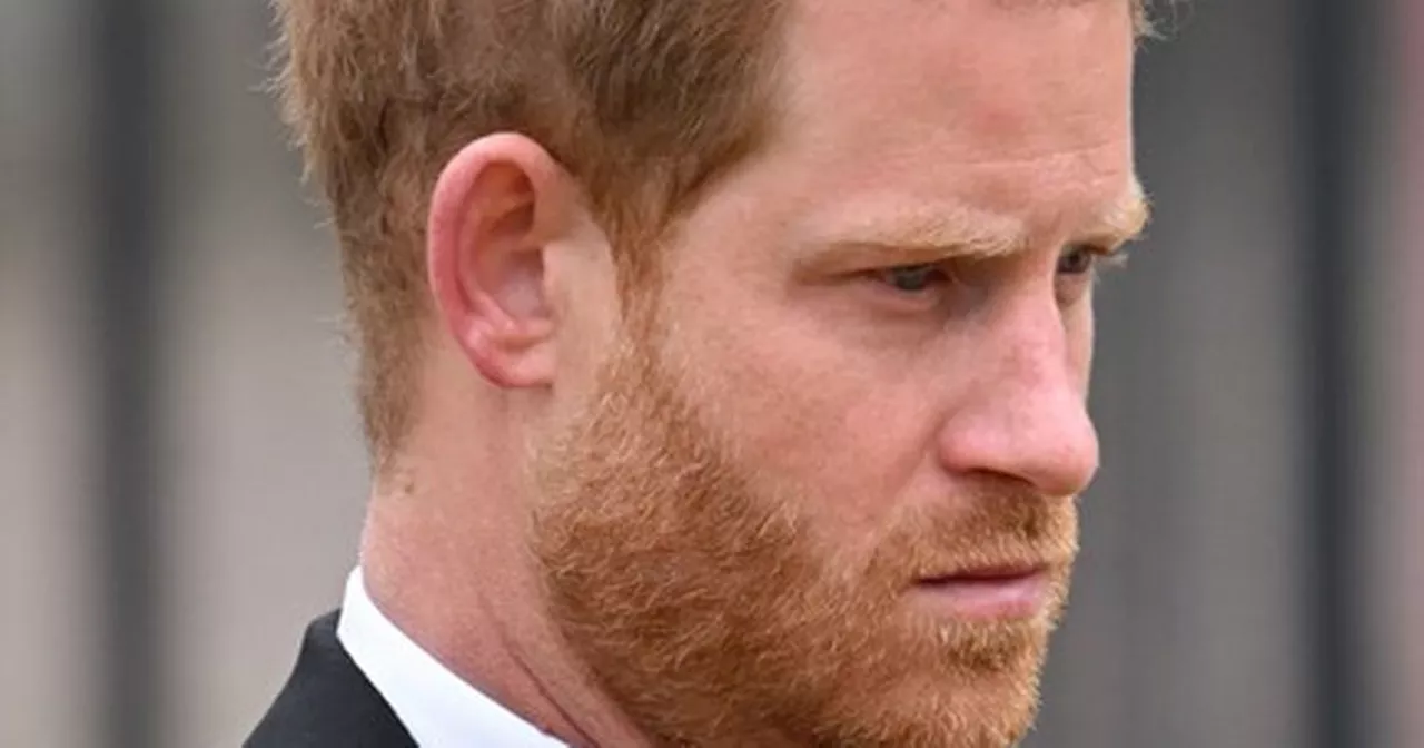 Prince Harry Gives Up Controversial Hunting Tradition Due to Meghan Markle's Disapproval