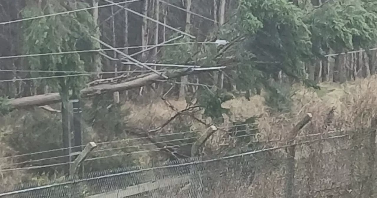 Storm Eowyn Causes Widespread Rail Damage in Scotland