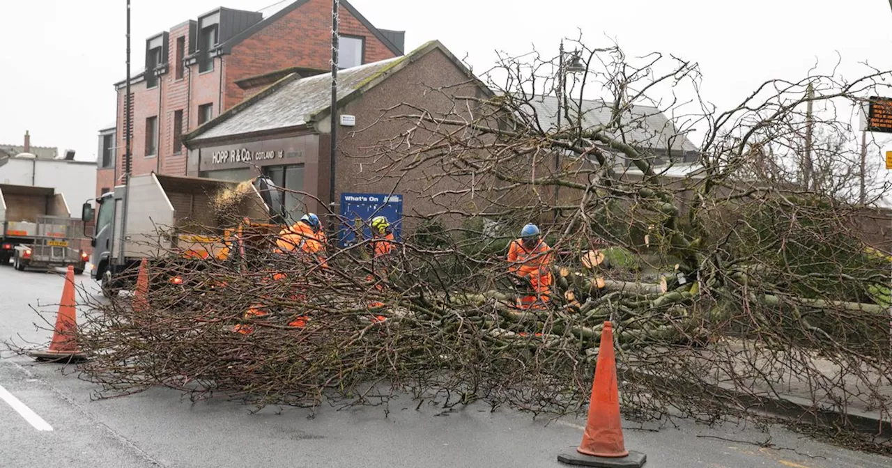 Storm Éowyn: Scotland urged to remain patient as power and transport services restored