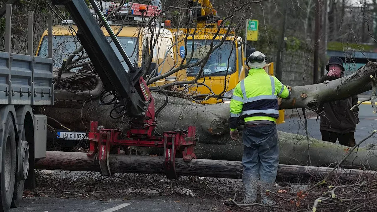 Man Dies After Tree Crushes Car During Storm Eowyn