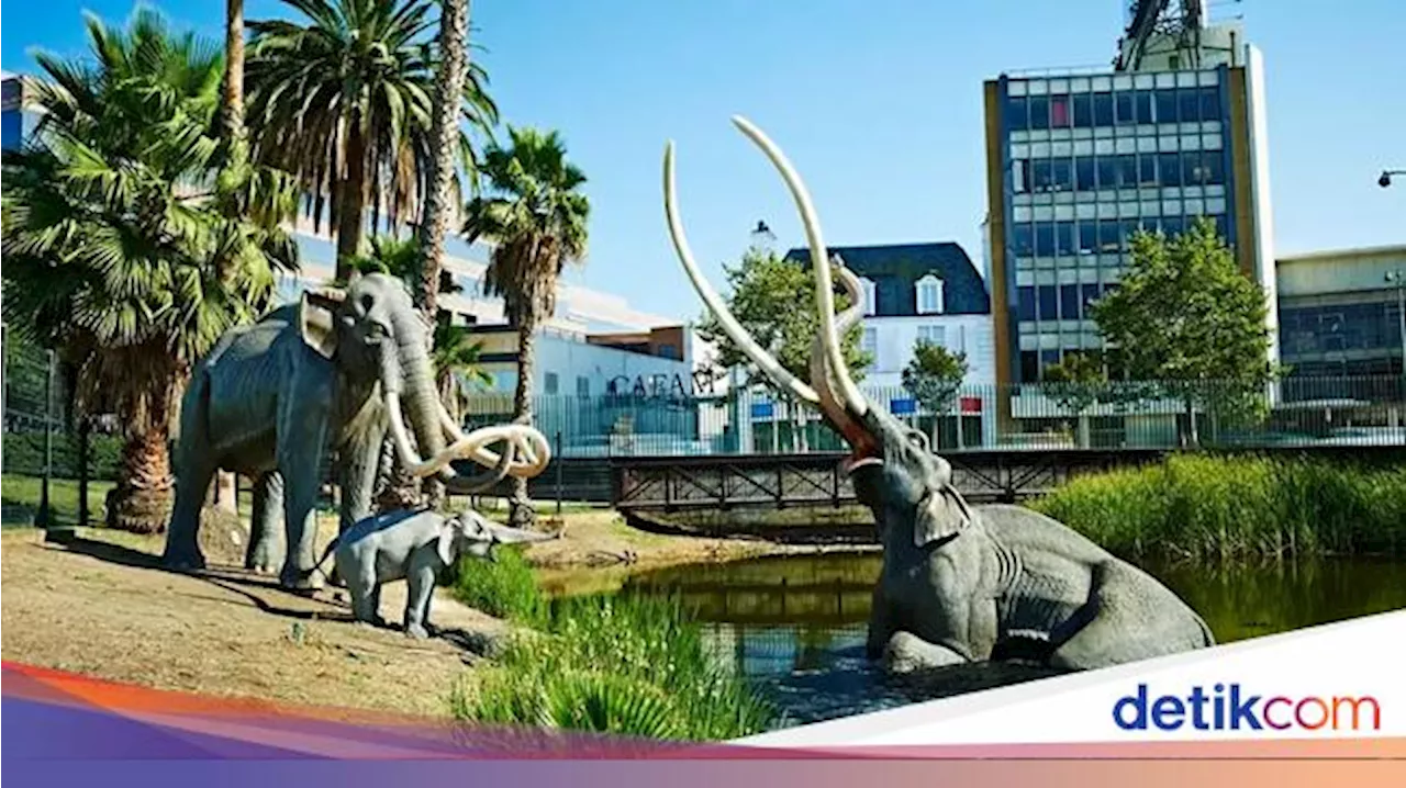 Mengenal La Brea Tar Pits, Kolam Lumpur di Tengah Kota LA yang Penuh dengan Fosil