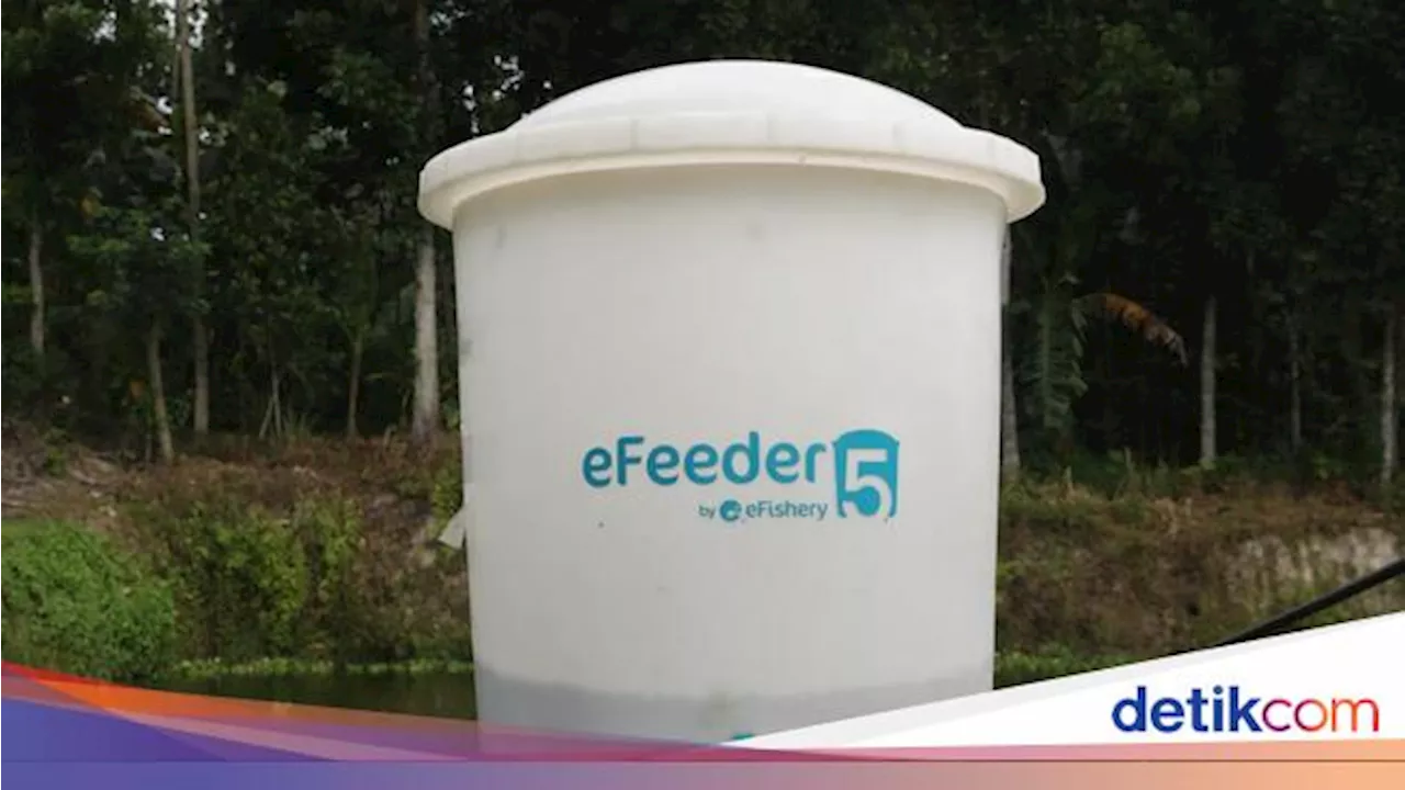 Di Bawah Kepemimpinan Baru, eFishery Pastikan Tidak Punya Utang Bank