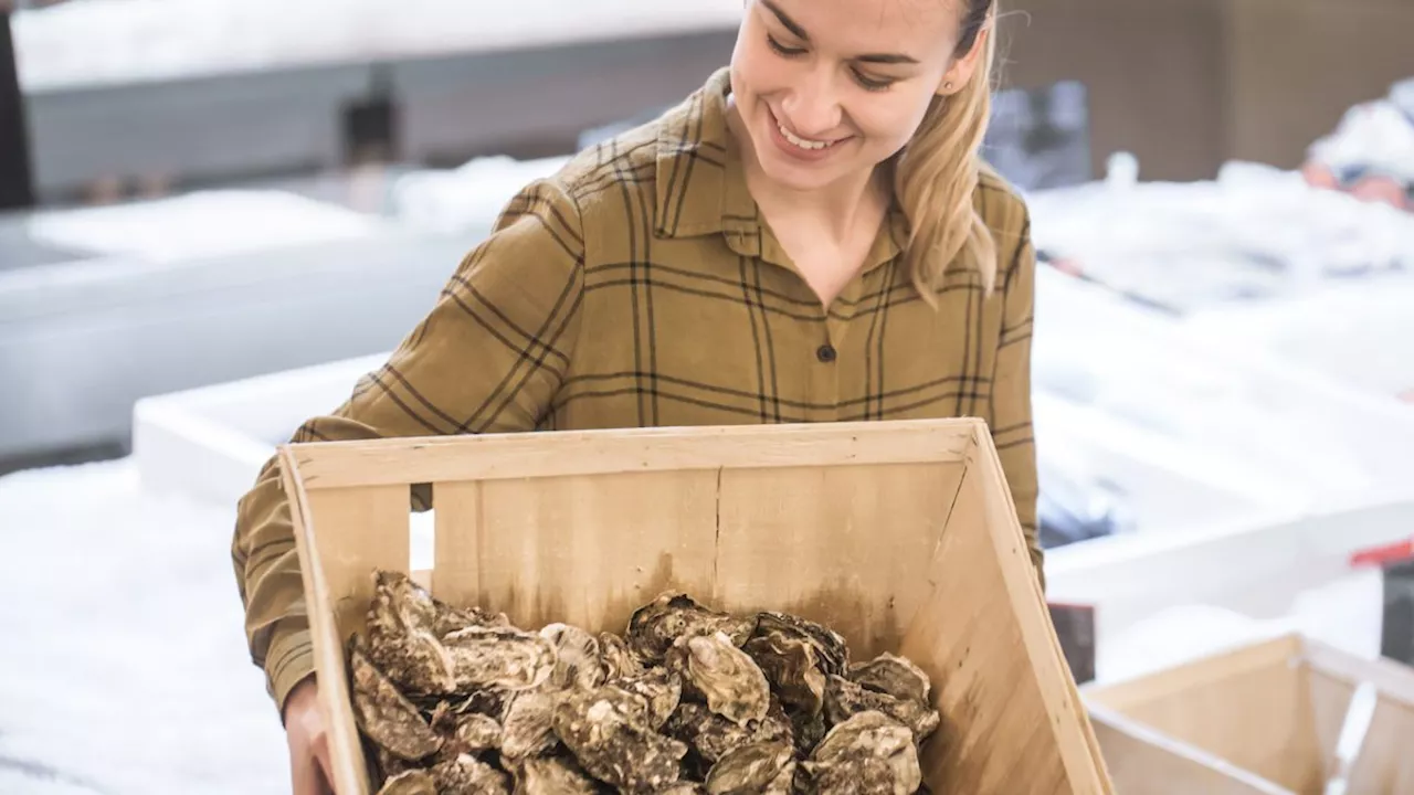 Pourquoi les huîtres sont-elles vendues par douzaine ?