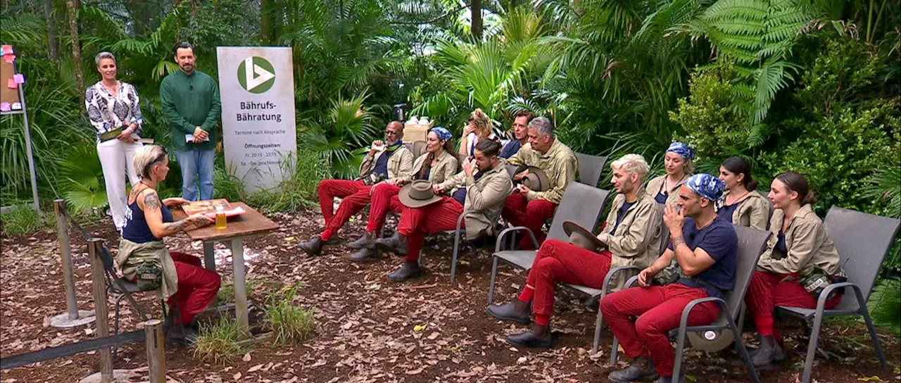 Peak um 22:15 Uhr: Dschungelcamp dauerte vielen zu lange