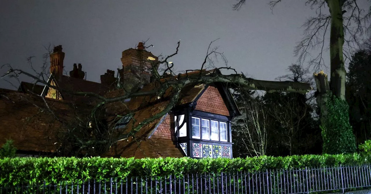 Storm Éowyn Winds Cause Tree to Fall on Historic Woolton Building