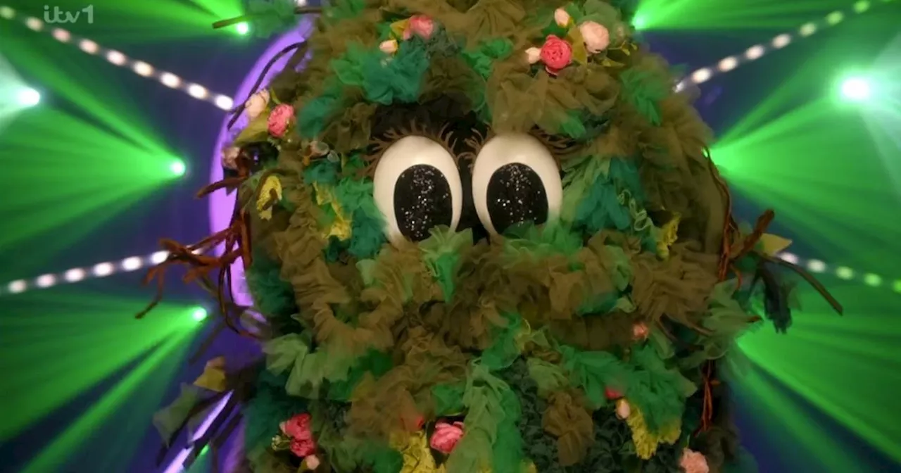 The Masked Singer Fans Think They've Cracked Bush's Identity