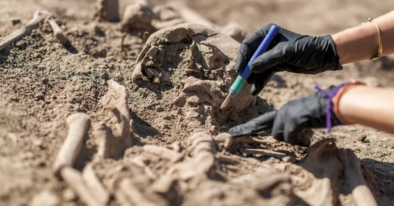 Knochenfund in Garten: Archäologen rätseln über mittelalterlich-frühneuzeitliche Bestattung