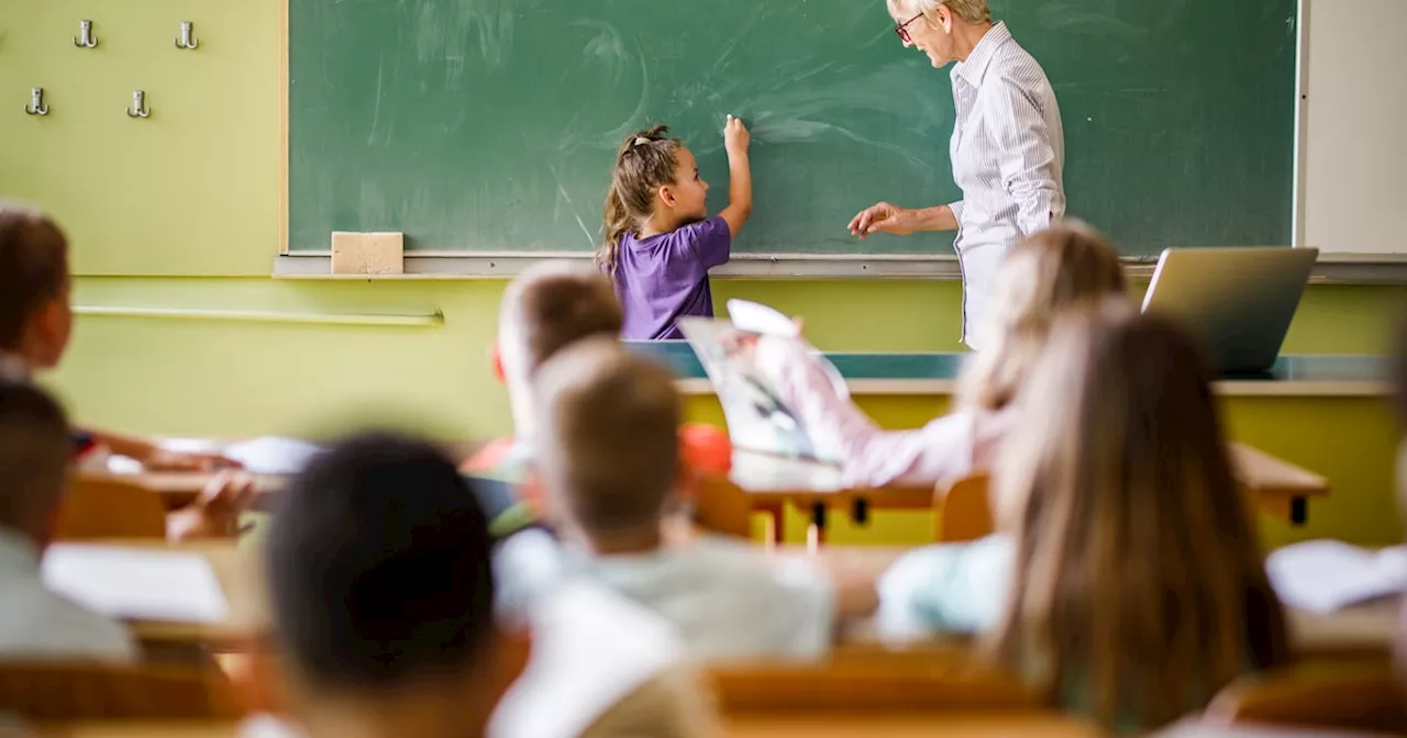 Lehrerin über Zweitklässler: „Können nicht einmal einen ganzen Satz sagen'