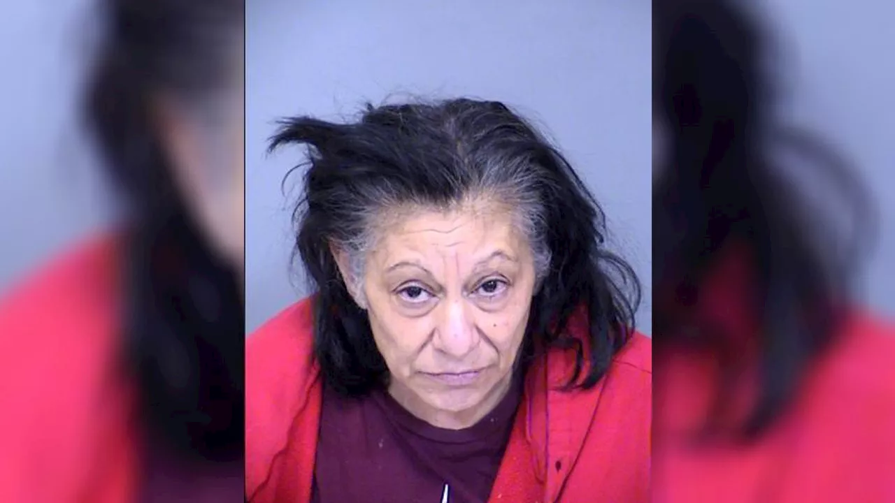 Grandmother, Mother Arrested in East Valley Child Abuse Case