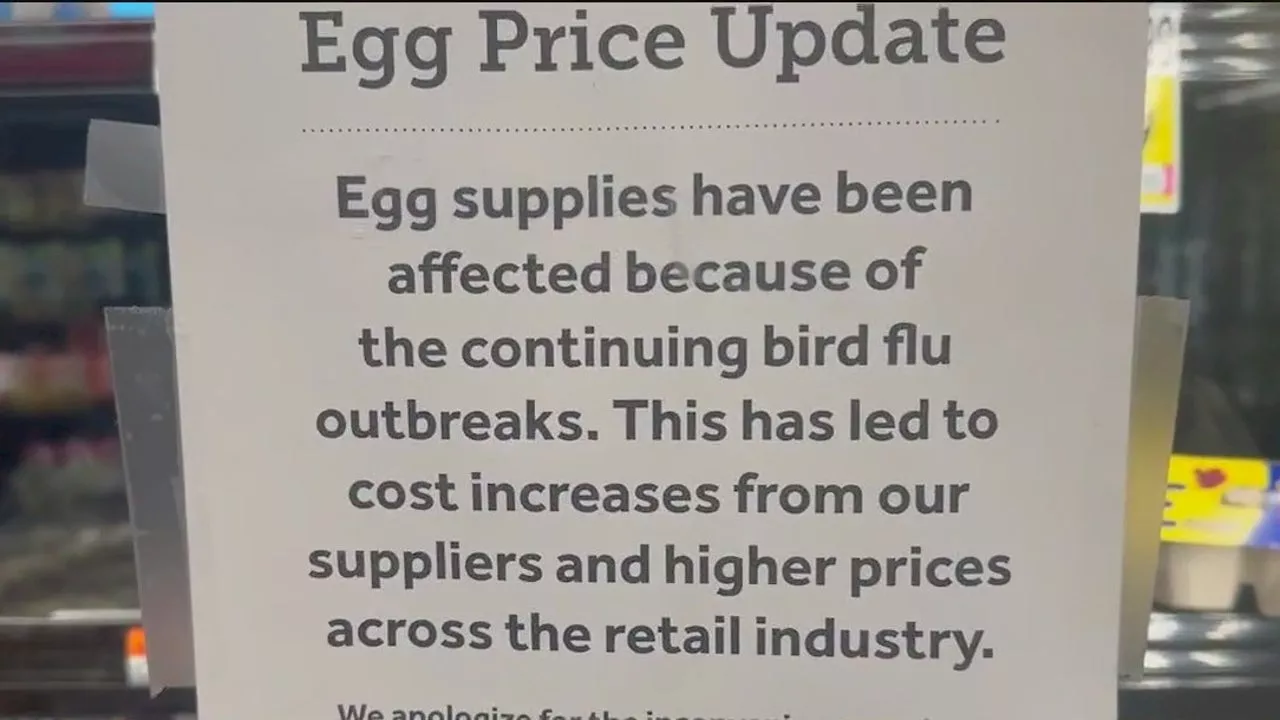 Bird Flu Continues to Drive Up Egg Prices Nationwide