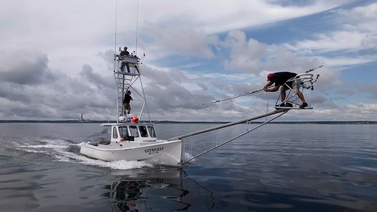 Harpoon Hunters: The High-Stakes Reality of Bluefin Tuna Fishing