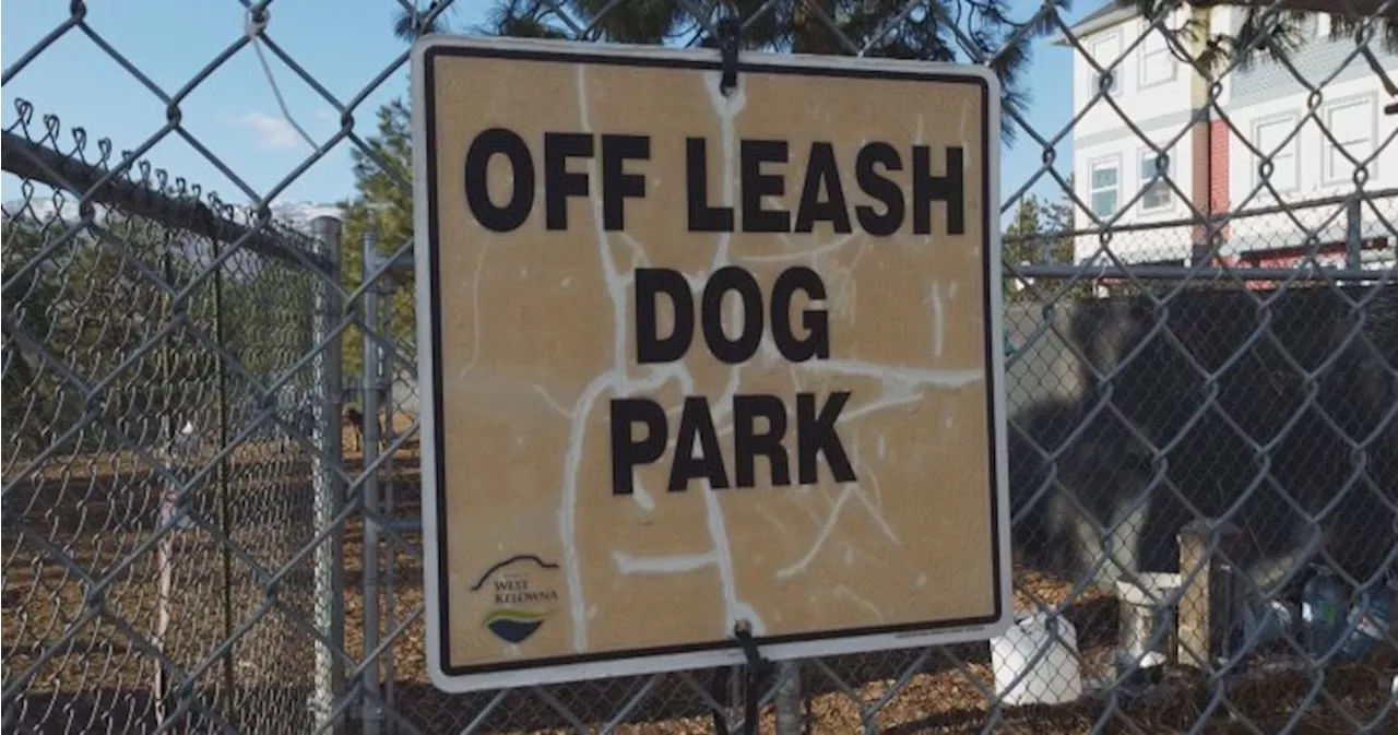 Residents frustrated over lack of seating at West Kelowna dog parks