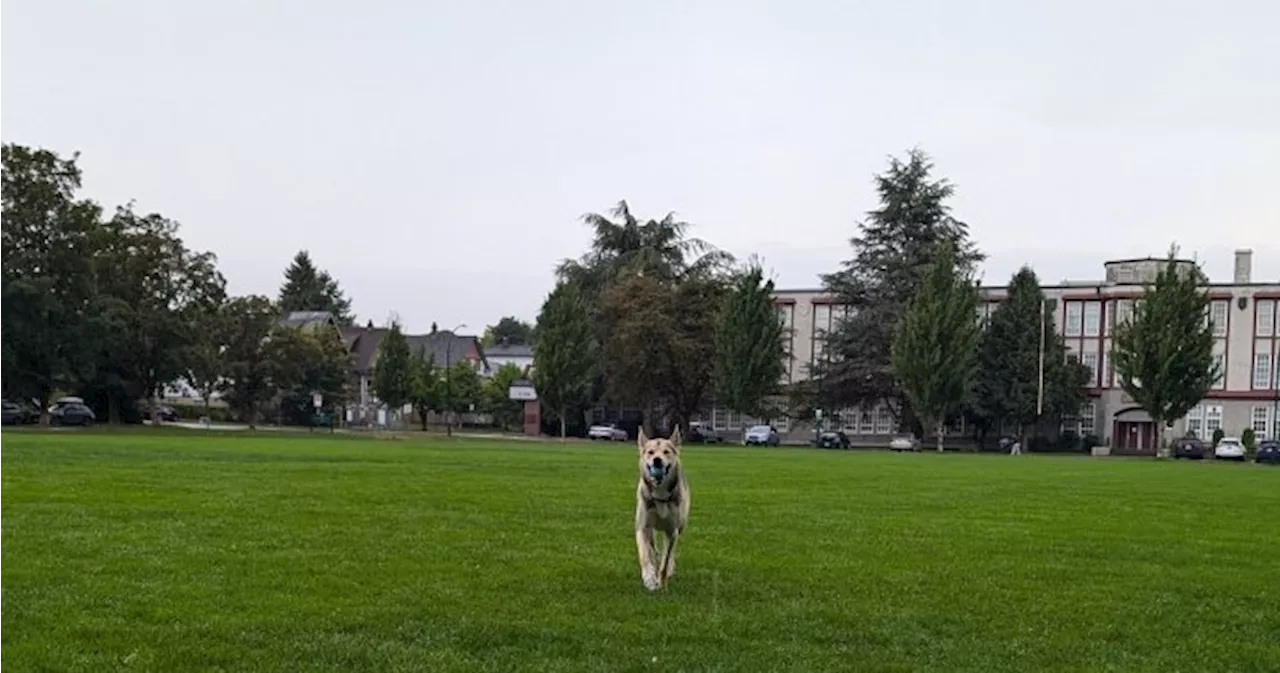 Vancouver Residents Outraged Over School Field Closures