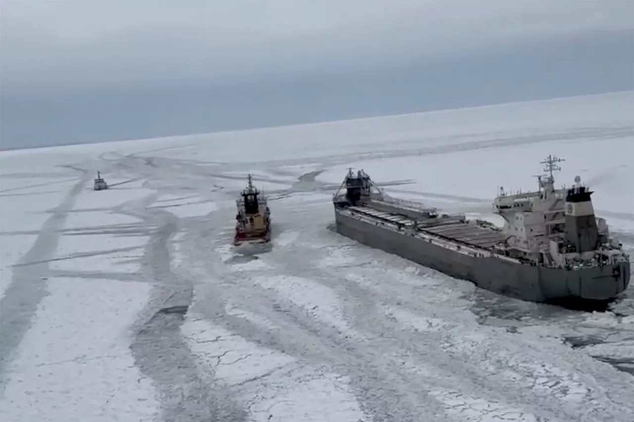 US, Canadian Coast Guards Work to Free Freighter Trapped in Lake Erie Ice