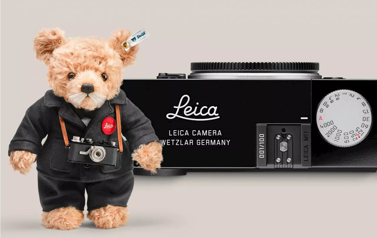 410-Megapixel-Sensor und 600-Euro-Teddybär – die Fotonews der Woche 4/2025