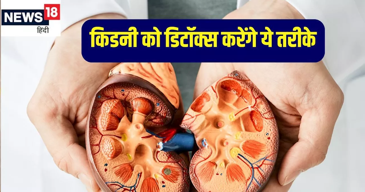 पेशाब करते समय होती है जलन? 7 तरीकों से किडनी को करें डिटॉक्स, यूरिन में नहीं आएगा ब्लड, स्वस्थ रहेंगे गुर्...