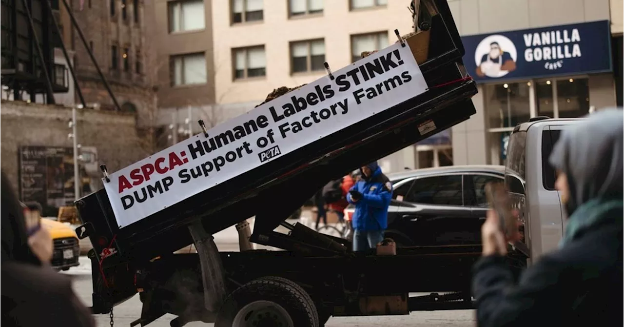 PETA Activists Arrested While Trying To Dump Manure Outside ASPCA Office