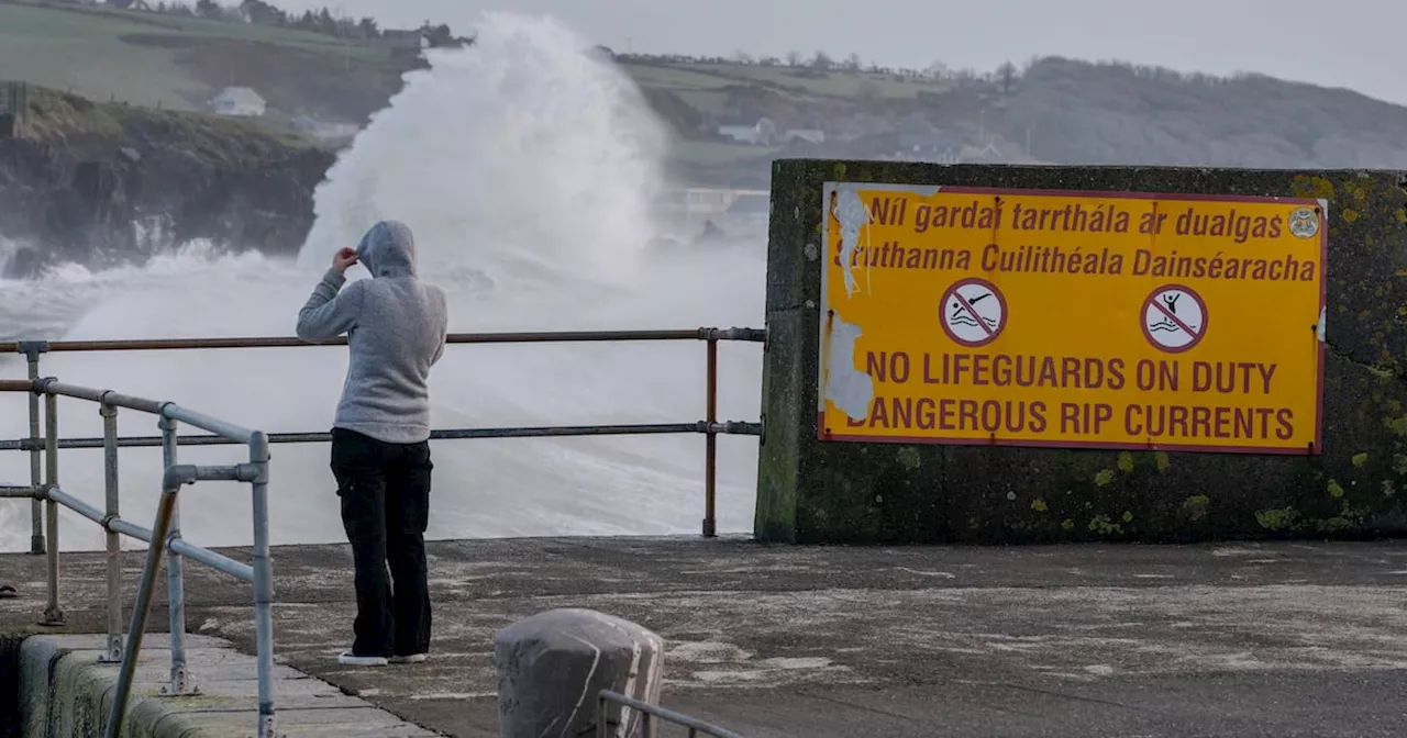 Cork Family's Home Destroyed by Tree During Storm Éowyn