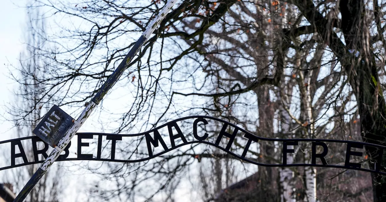 Remembering Auschwitz: 80 Years On, The Fight Against Anti-Semitism Continues