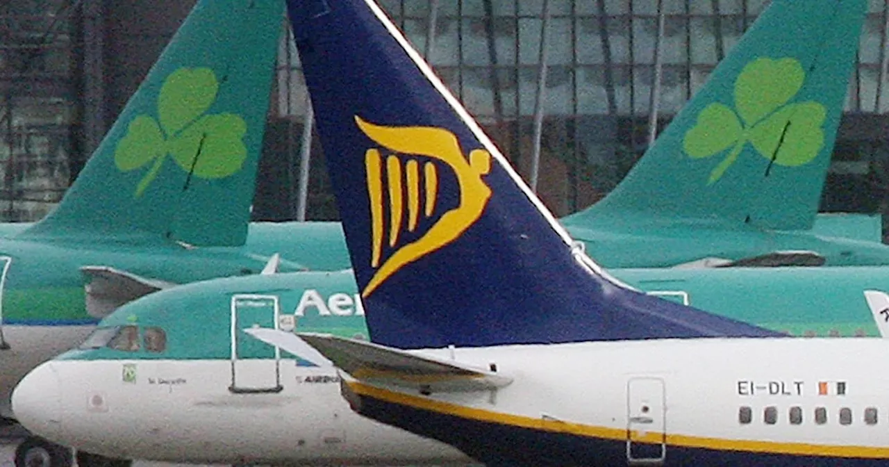 Aer Lingus drops appeal against €40m Ryanair airport hangar