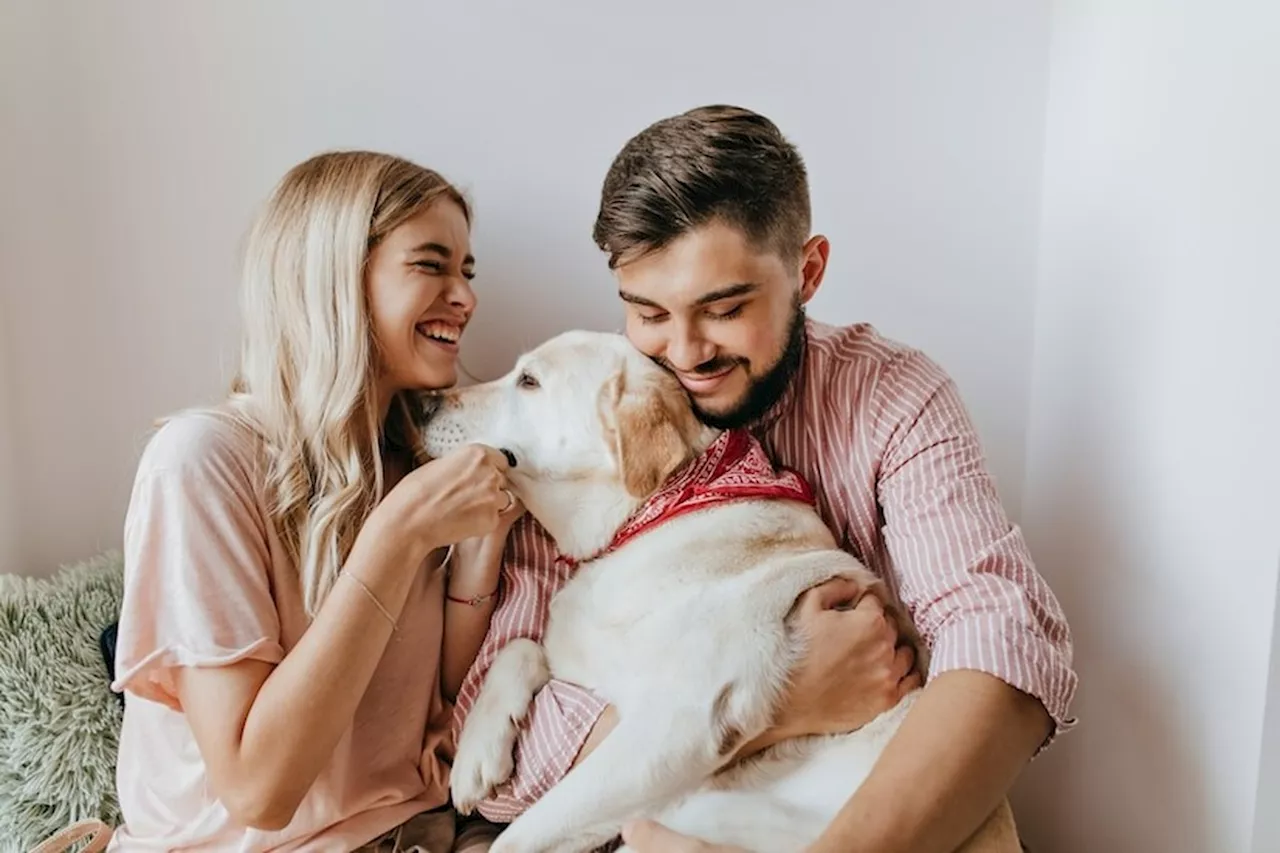 Animais de estimação como alternativa a ter filhos: solução controversa ou necessidade?