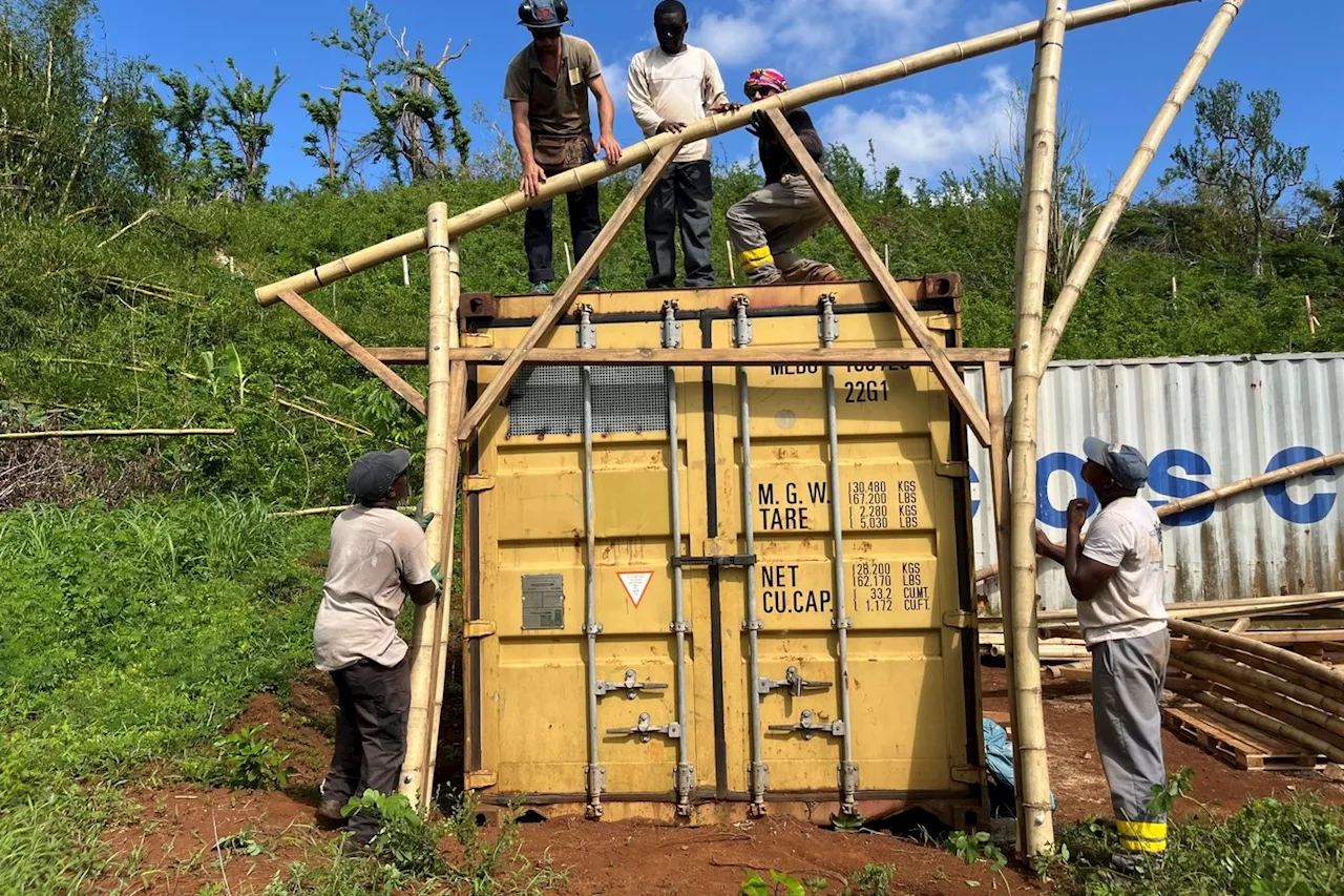 Mayotte : le défi de la reconstruction en bambou