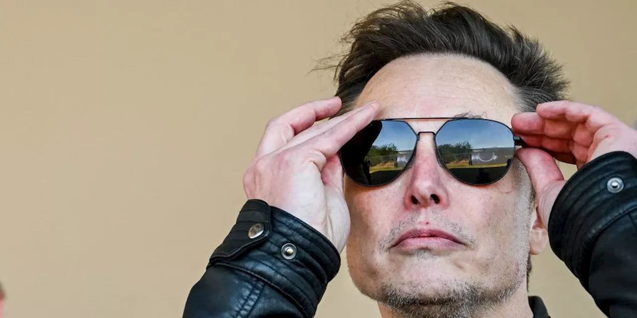 Elon Musk soutient l'AfD lors d'un meeting en Allemagne