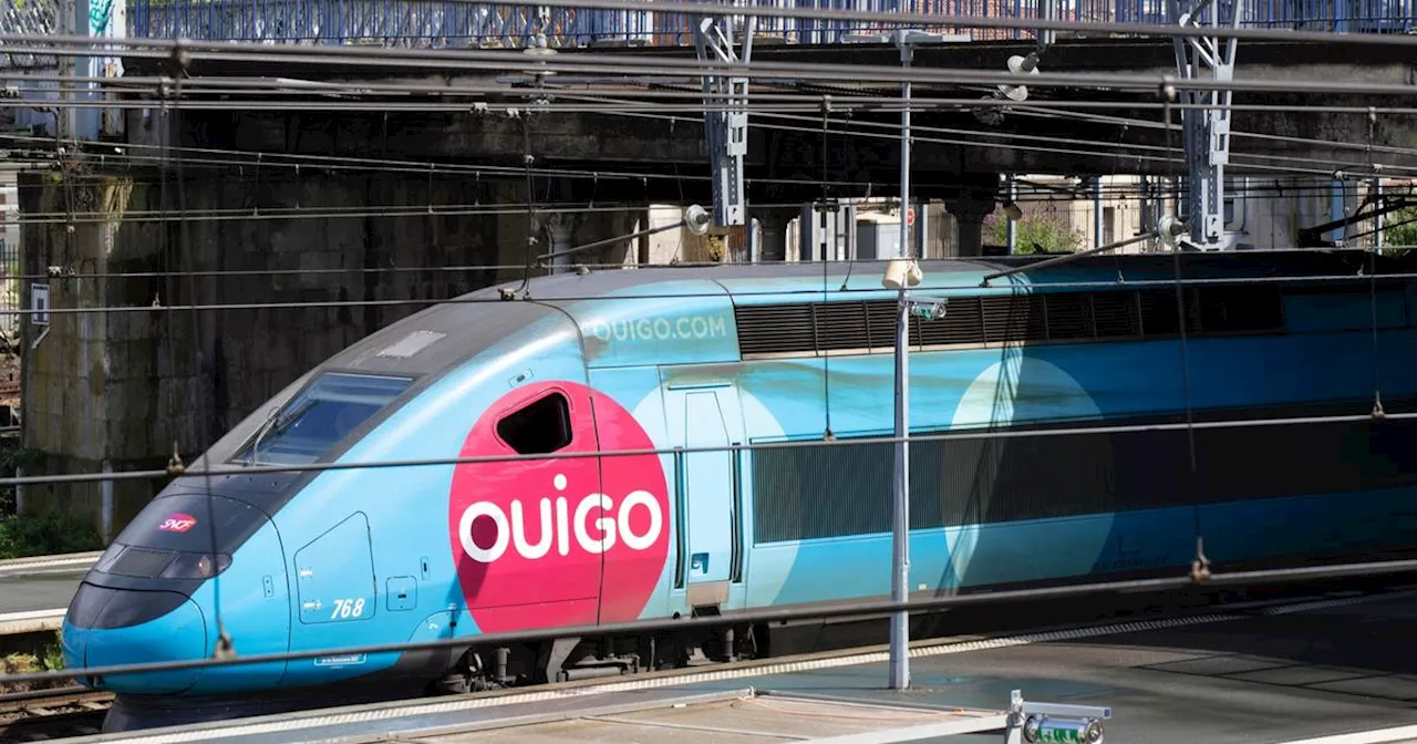 SNCF : faites-vous vraiment une bonne affaire en prenant un train Ouigo?