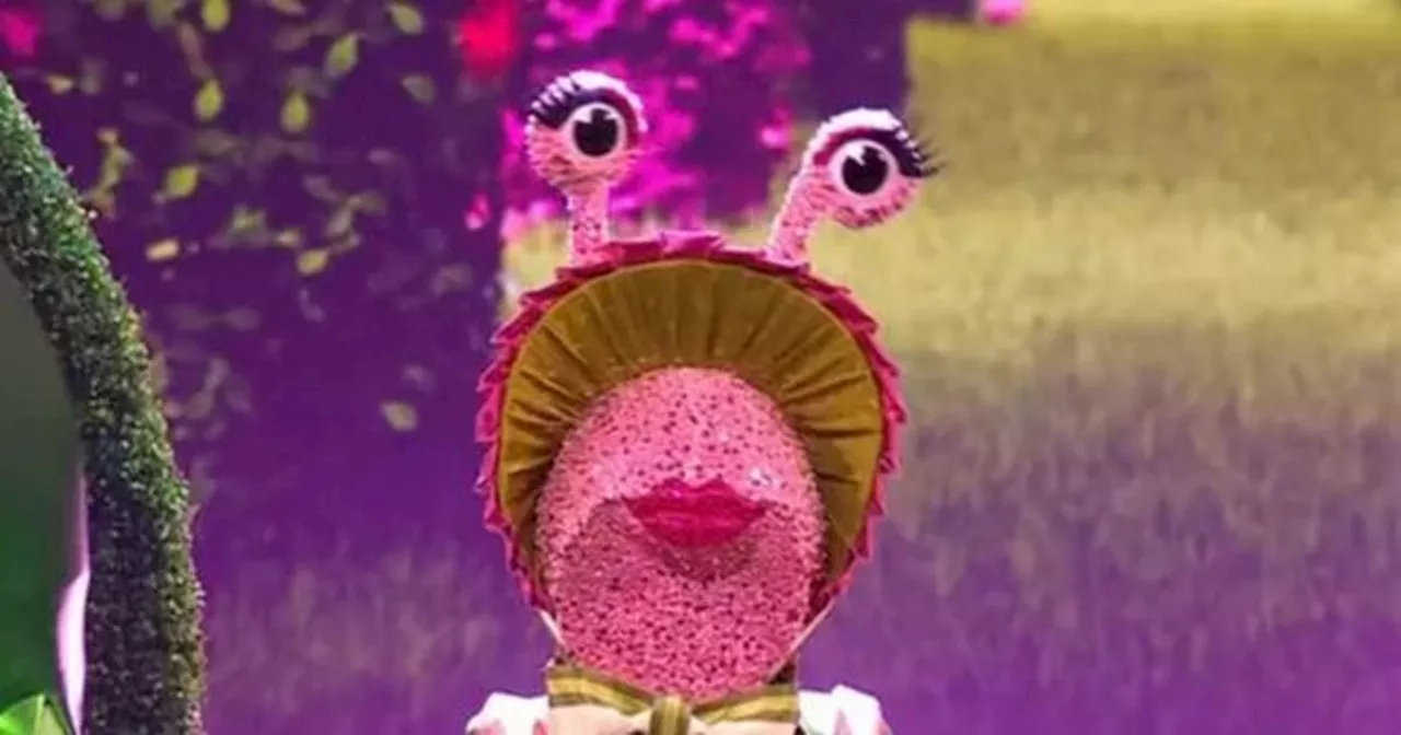 Masked Singer fans convinced they know who Snail is thanks to 3 key clues