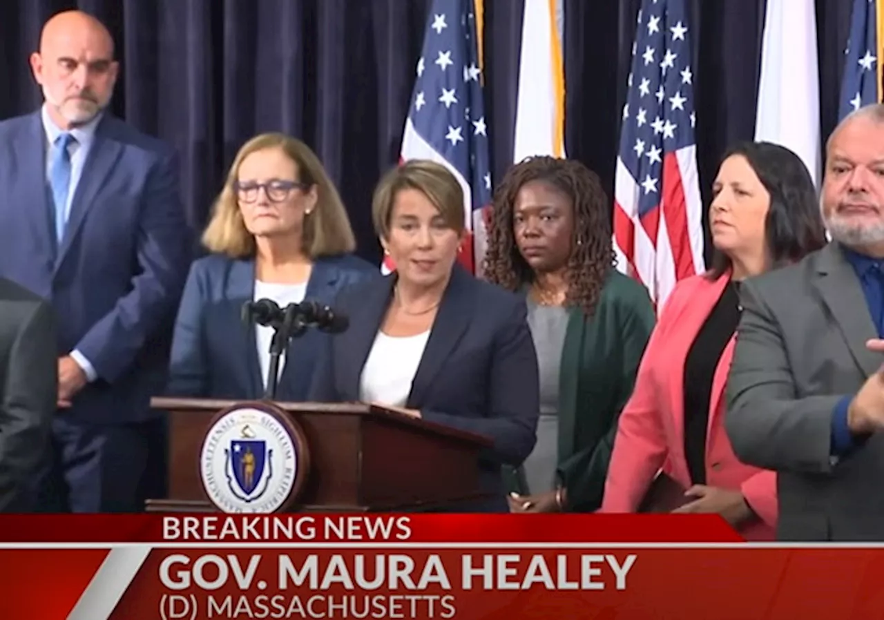 MA Gov. Maura Healey Now Says She Backs ‘Apprehension of Criminals’ as ICE Raids Boston