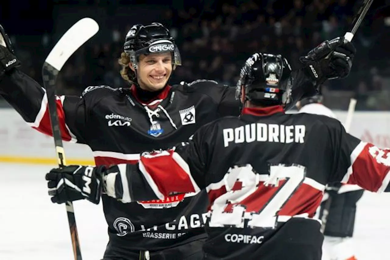 Ligue Magnus : Bordeaux domine Angers, les Brûleurs de Loups creusent l'écart