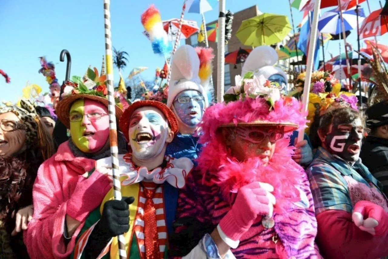 Dimanche 26 janvier à Lille et en Belgique: idées de sorties et événements