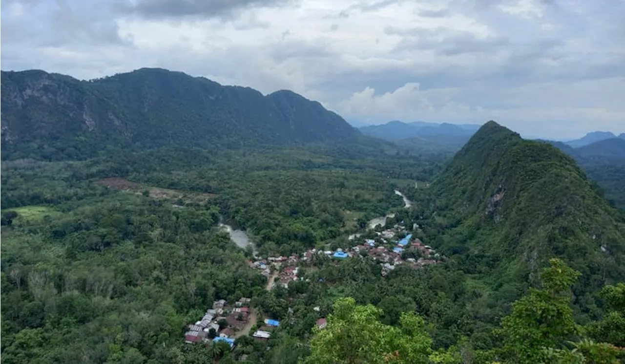 Masyarakat Adat di Meratus Tolak Rencana Perdagangan Karbon