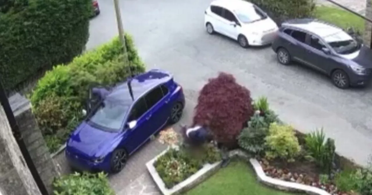 Shocking moment man, 64, attacked for his VW Golf R as 'bragging' robber jailed