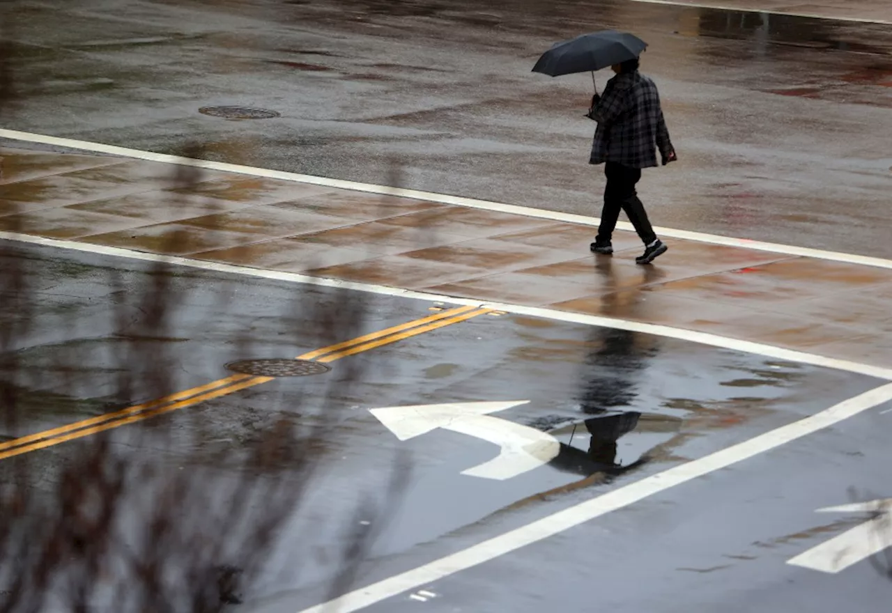 Bay Area Residents Face Dip in Temperatures and Light Showers