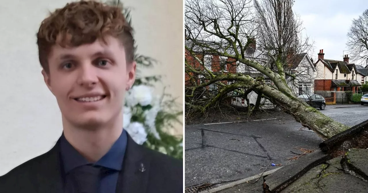 Man, 20, crushed and killed by falling tree while trying to flee Storm Eowyn