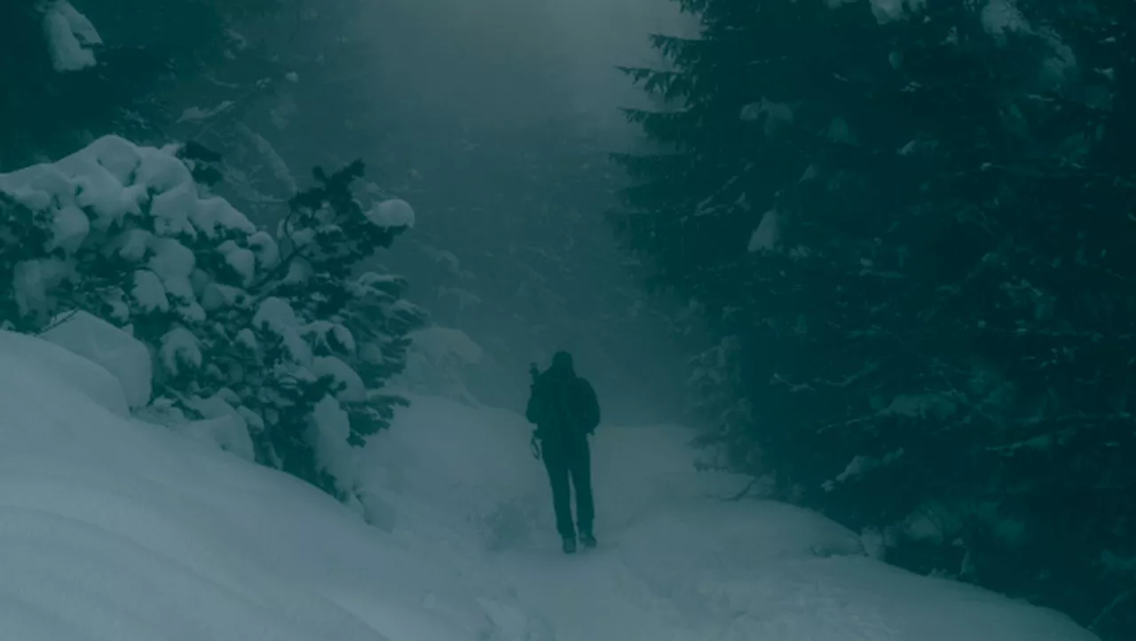 Ils partent faire une randonnée de 15 km en forêt et disparaissent : le terrain escarpé et le froid font de le