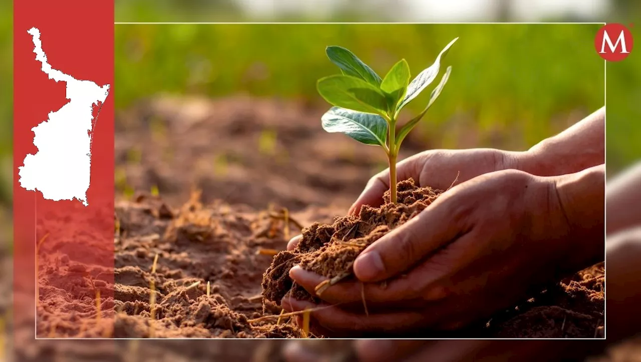 Especialistas Proponen Hora de Educación Ambiental en Escuelas de Tamaulipas