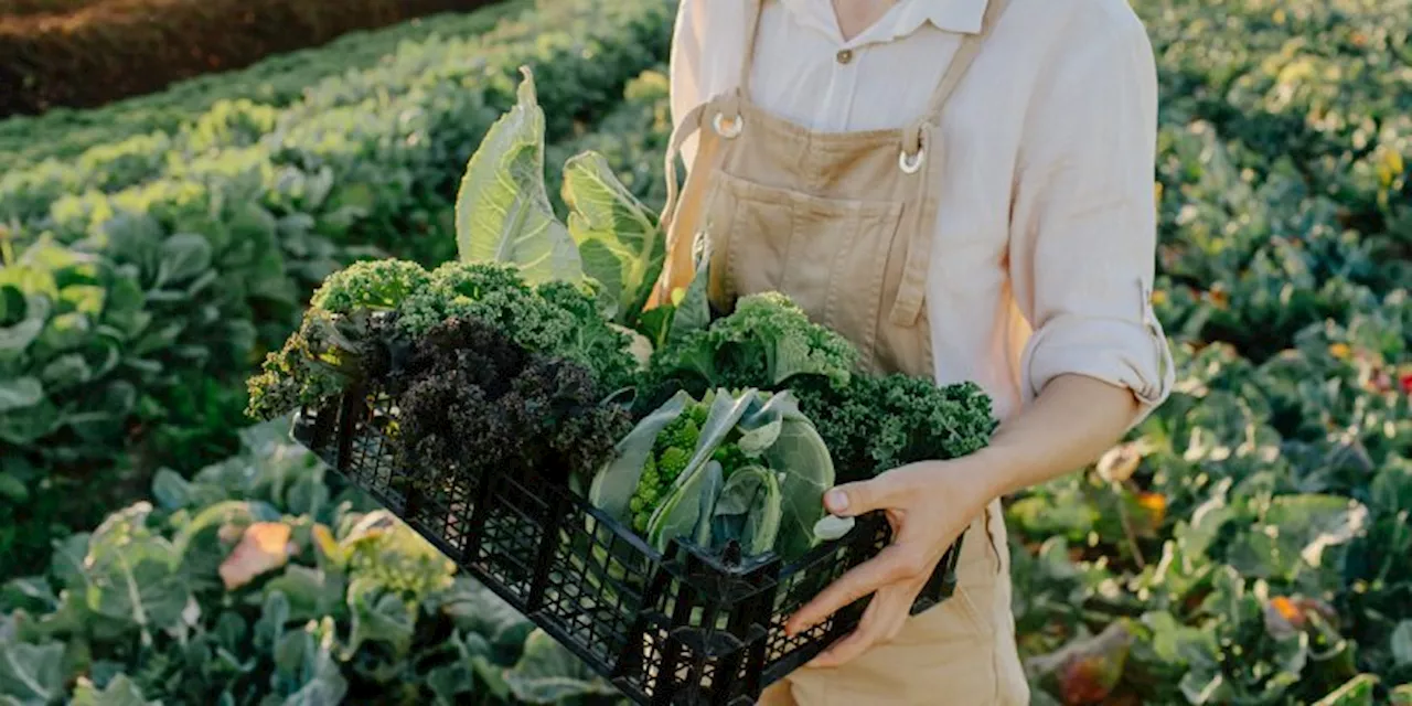 The Troubling Link Between Pesticides & Parkinson's Disease Risk