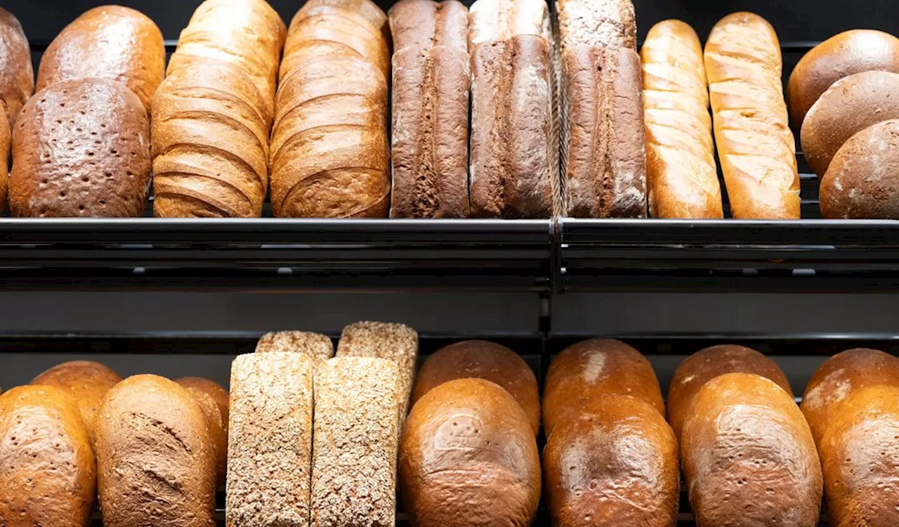 Rewe schließt Großbäckerei in Frankfurt und verkauft Standort an Harry-Brot