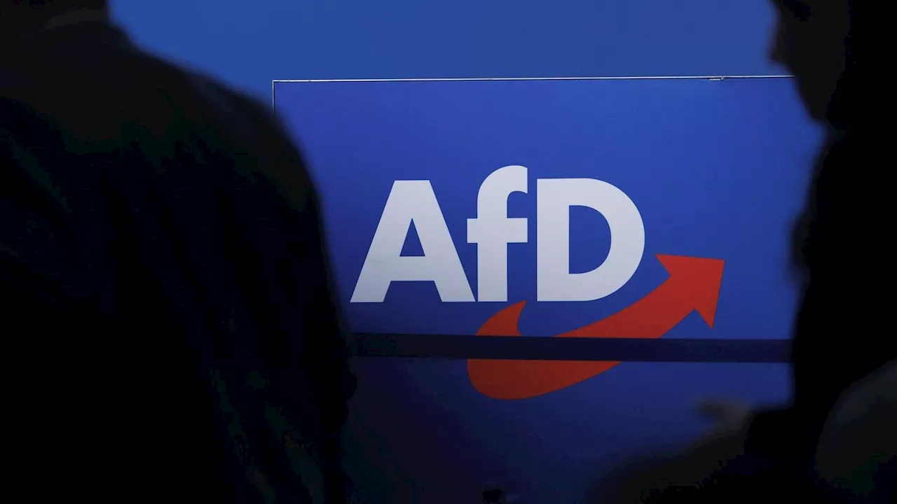 Neue Großspende: AfD freut sich über mysteriösen Geldsegen