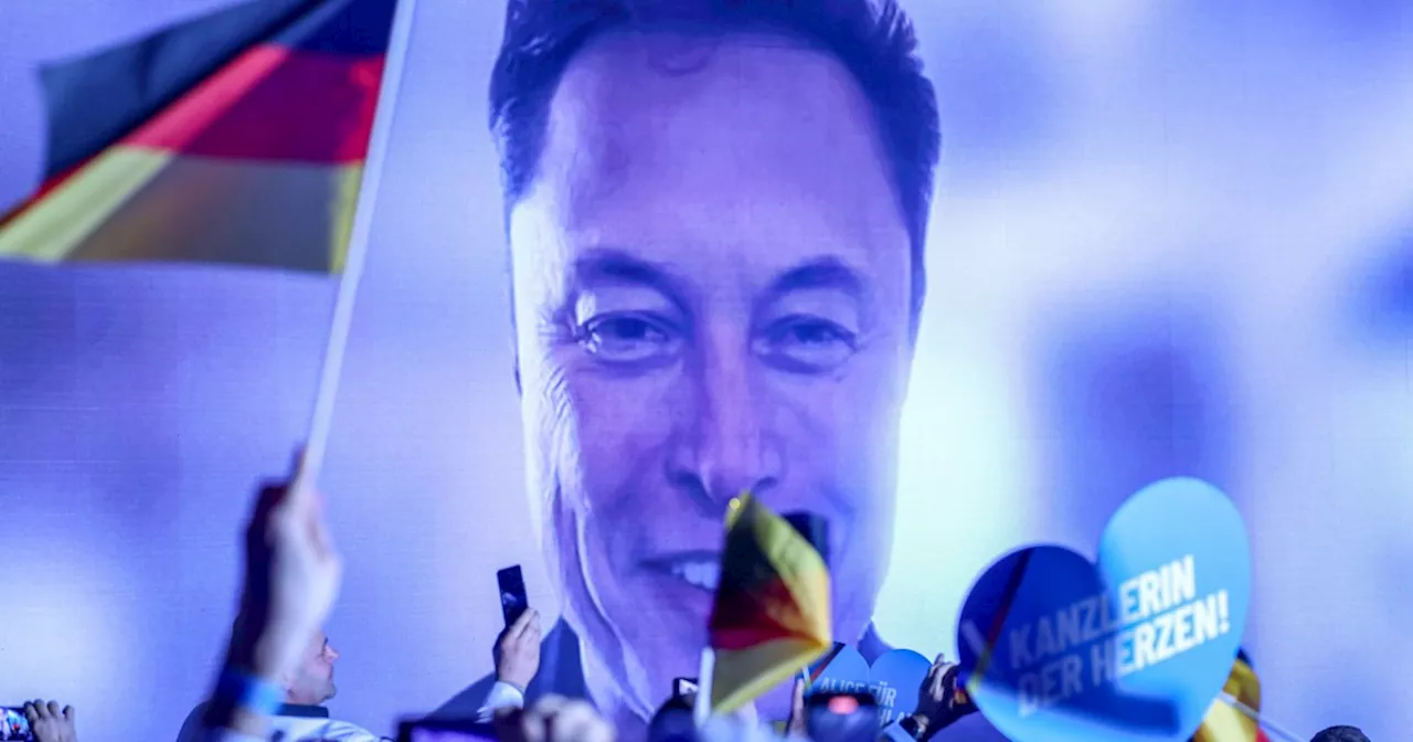 Elon Musk Backs Germany's Far-Right AfD, Calls for Move Beyond 'Past Guilt'