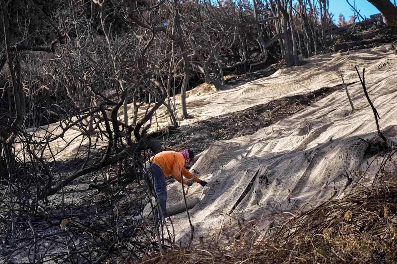 Southern California Braces for Rain, Wildfire Aftermath Risks