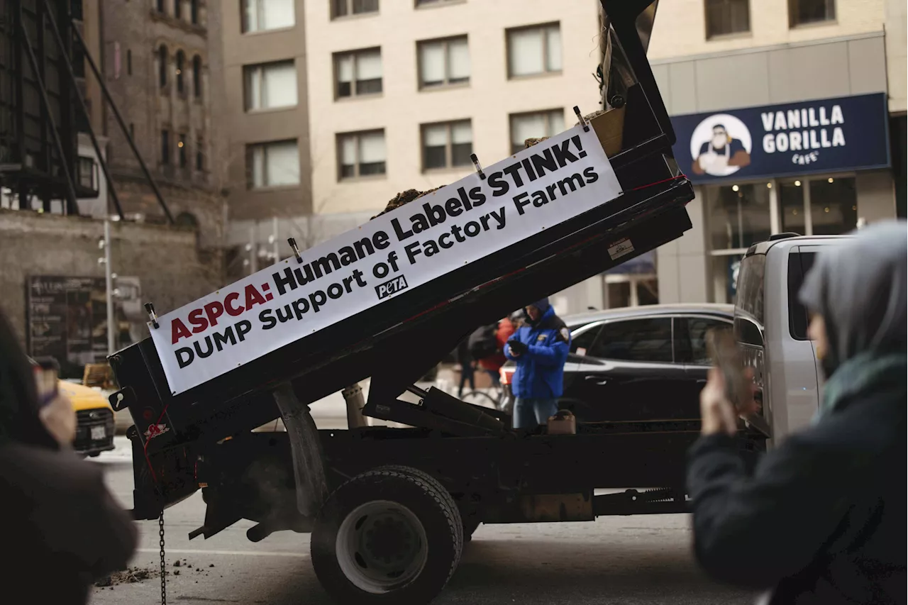 PETA Activists Arrested in Manure Protest Against ASPCA