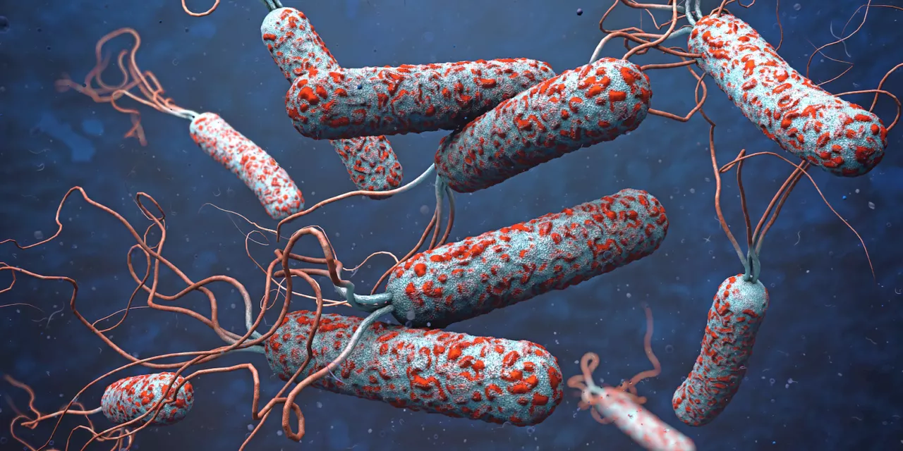 JUST IN: South-South State Confirms Outbreak of Cholera