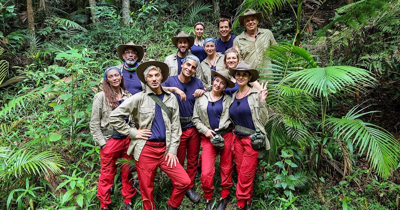 Dschungelcamp startet mit viel Drama und Kakerlaken