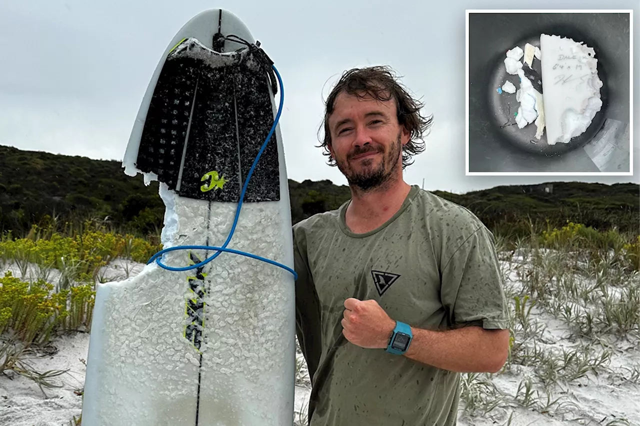 Australian Surfer Uses Board to Fend Off Shark Attack